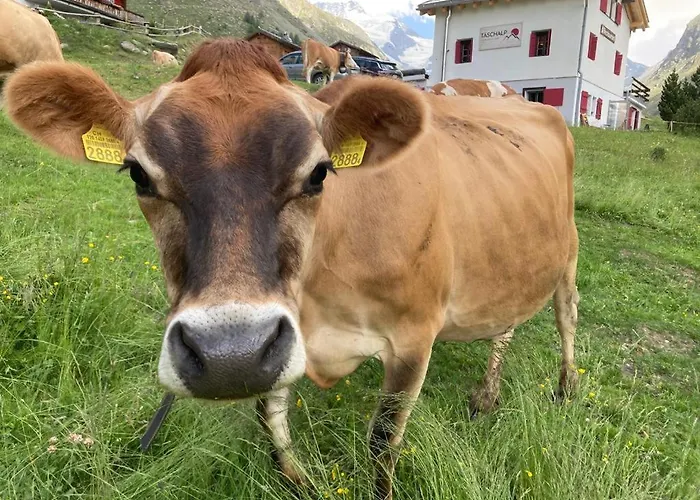 Taeschalp Restaurant&lodge Lodge Tasch